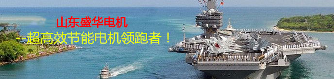 山東電機(jī)廠,電機(jī)生產(chǎn)廠家,高效節(jié)能電機(jī)