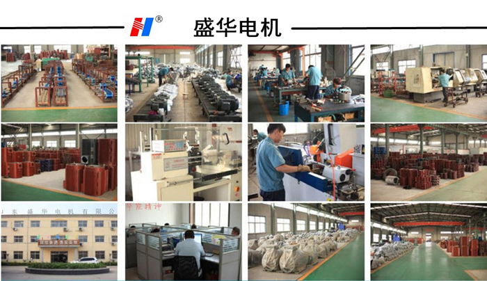 山東盛華電機(jī)生產(chǎn)廠家,球磨機(jī)專用電機(jī),電機(jī)定制