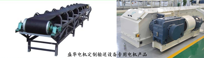 山東聊城盛華電機生產(chǎn)廠家,輸送設(shè)備專用電機,電機定制