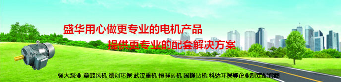 山東電機(jī)廠,大功率電機(jī),電機(jī)生產(chǎn)廠家