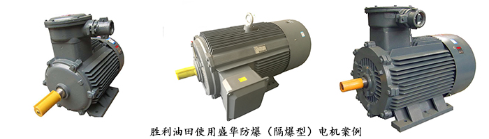 山東電機廠,高效節(jié)能電機,盛華電機 山東電機廠,高效節(jié)能電機,盛華電機
