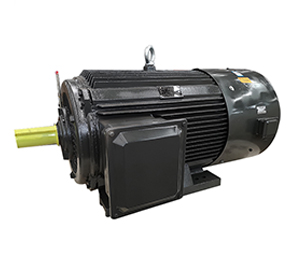 變頻防爆電動(dòng)機(jī)