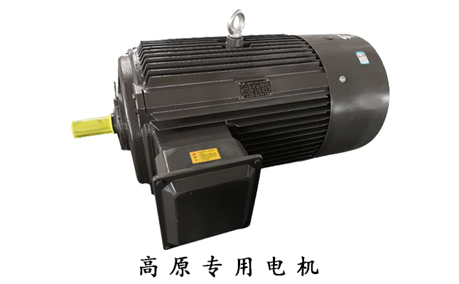 山東電機廠家,電機生產(chǎn)廠家,高原電機廠,三相電動機,高原電機