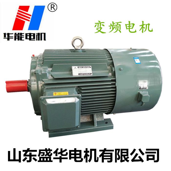 YEVP變頻調(diào)速電動(dòng)機(jī) 電機(jī)廠,變頻電機(jī)廠,變頻調(diào)速電動(dòng)機(jī),電動(dòng)機(jī)