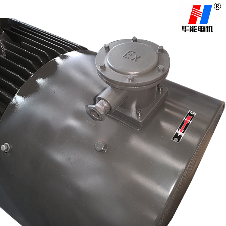 山東盛華電機(jī)廠-專注防爆電機(jī)定制生產(chǎn)二十年 防爆電機(jī)廠,電機(jī)廠,防爆電機(jī)生產(chǎn)廠家,防爆電機(jī)