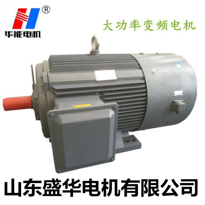 電機廠,山東電機廠,變頻調(diào)速電機,變頻電機