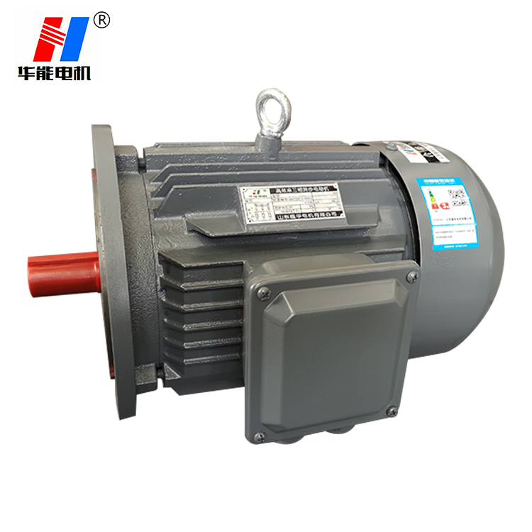 YE3立式電動(dòng)機(jī) 山東盛華電機(jī)廠