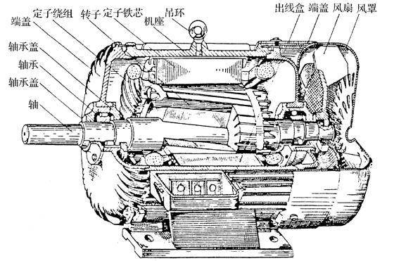 山東盛華電機(jī)